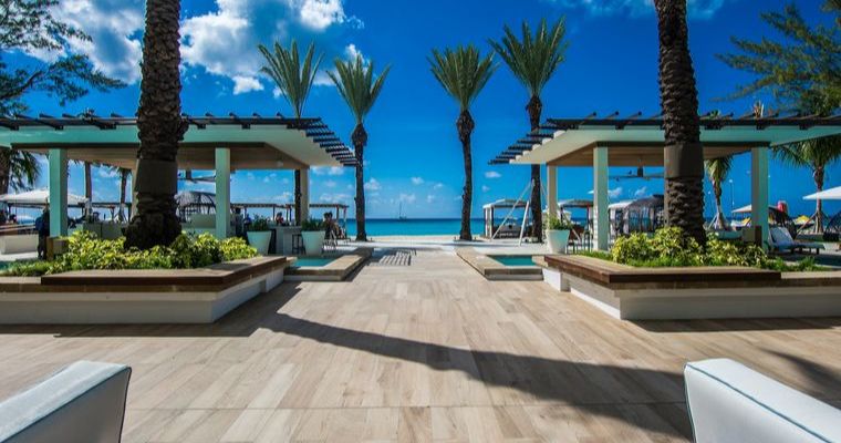 Beachfront patio with palm trees and lounge chairs.