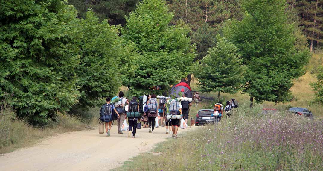 Hikers with backpacks on a forest path.